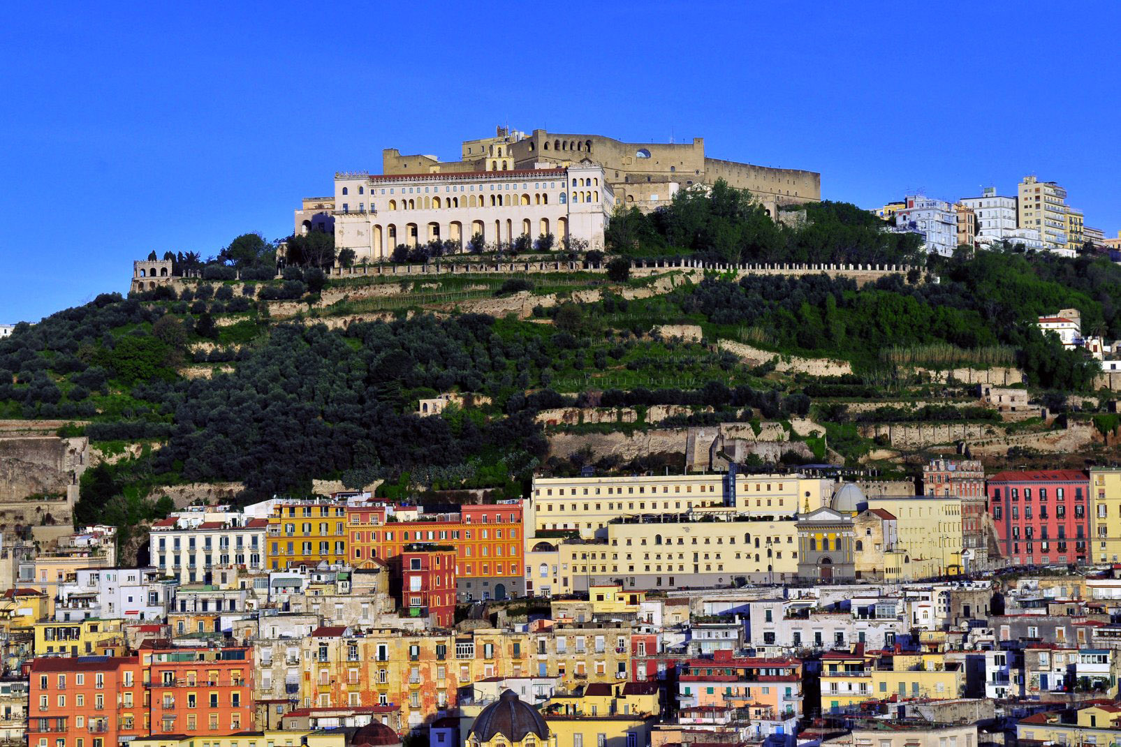 Collina di Castel Sant'Elmo